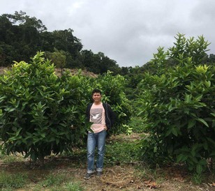 Ross standing with his wax apple trees